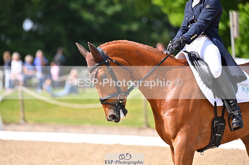 250523A-110511-06209 - C-276-Sammi.Birch-ROSAS.PARTY