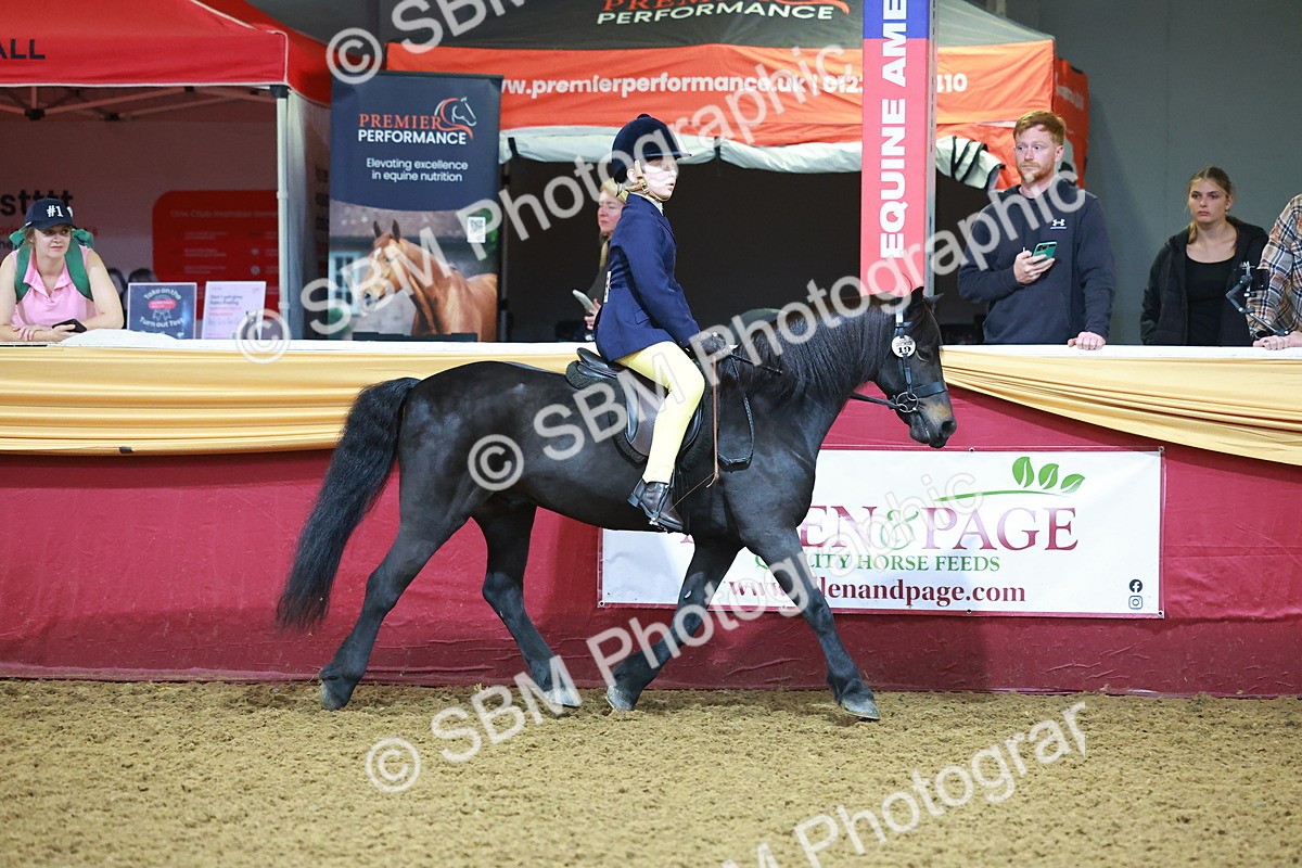 SBM_14685 - Class C - Novelty champ