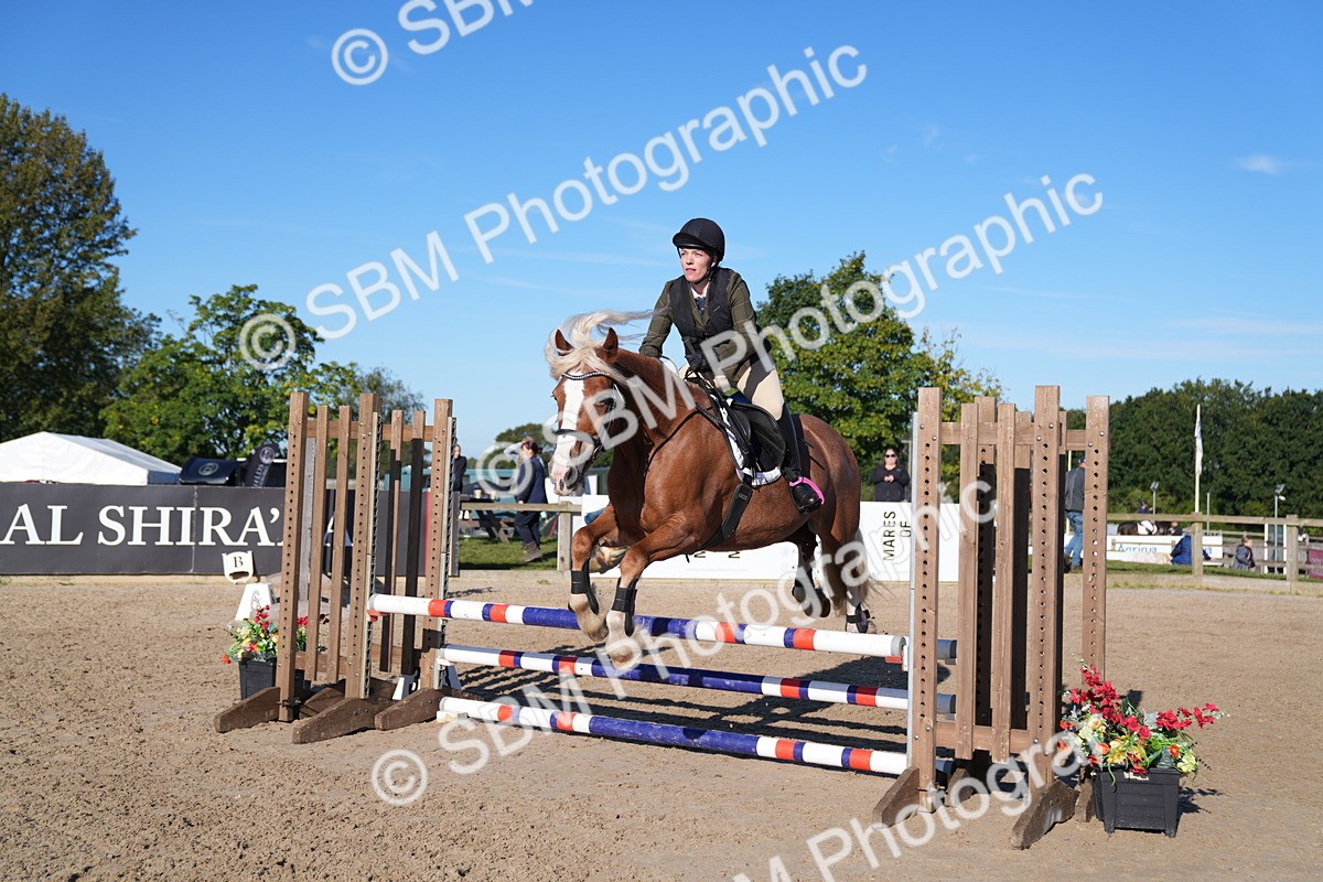 SBM_16000 - J60 - Clear Round 75cm