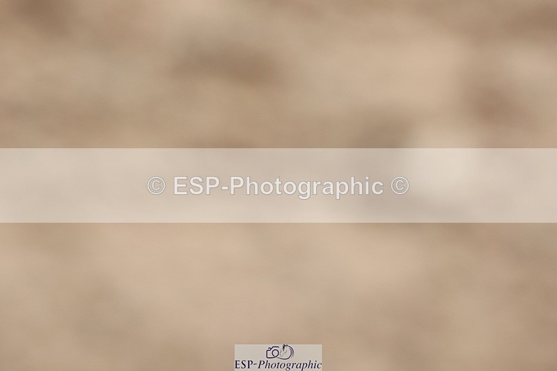 250622-111442-15029 - Cls 47 Novice 5, Start to 11.30am