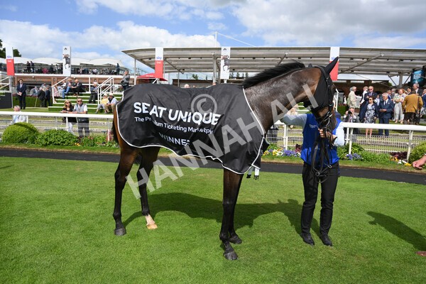 yr10062022r4-45 - Race 4 3.30pm Seat Unique Ganton Stakes