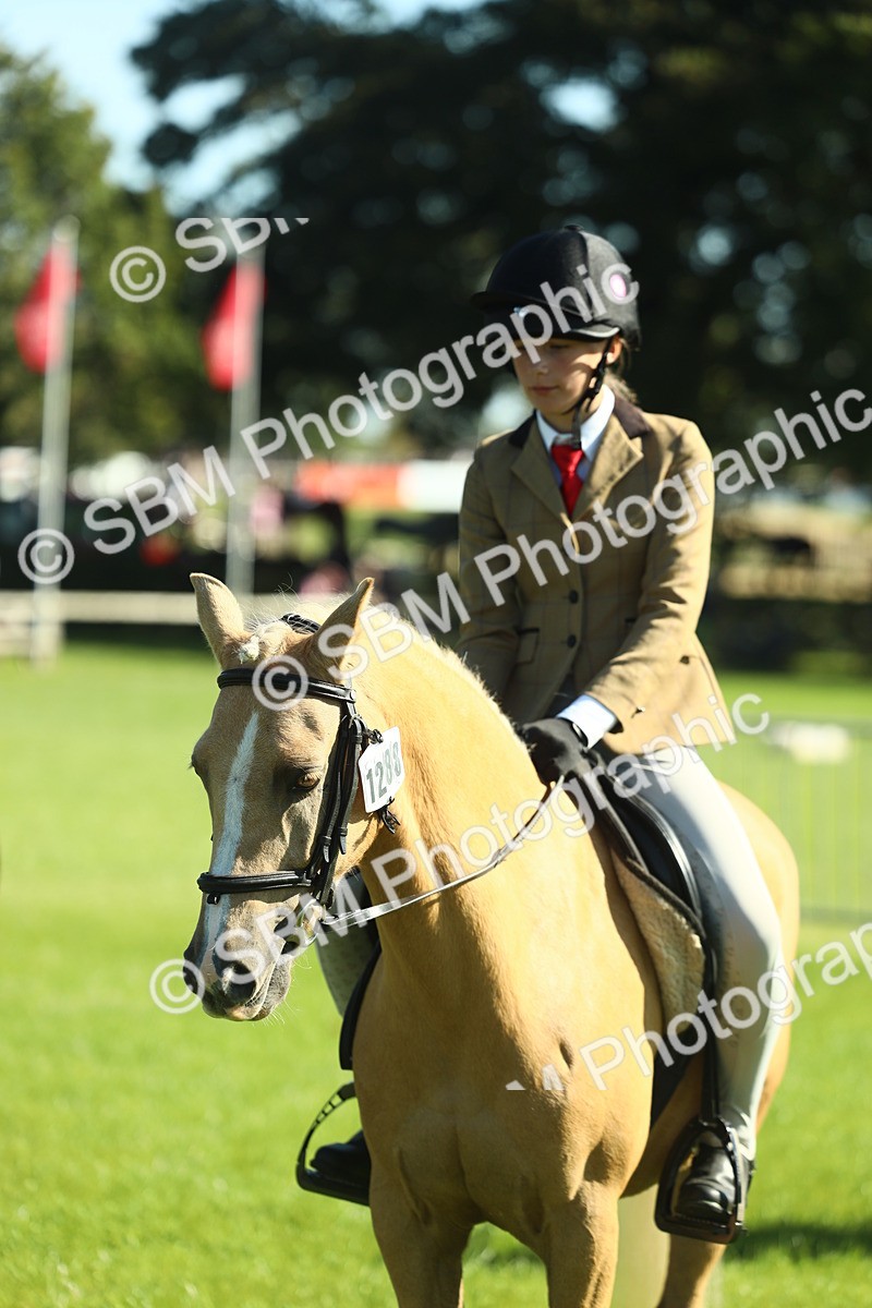 SBM_39046 - S29 - Novice & Newcomers Working Hunter Pony