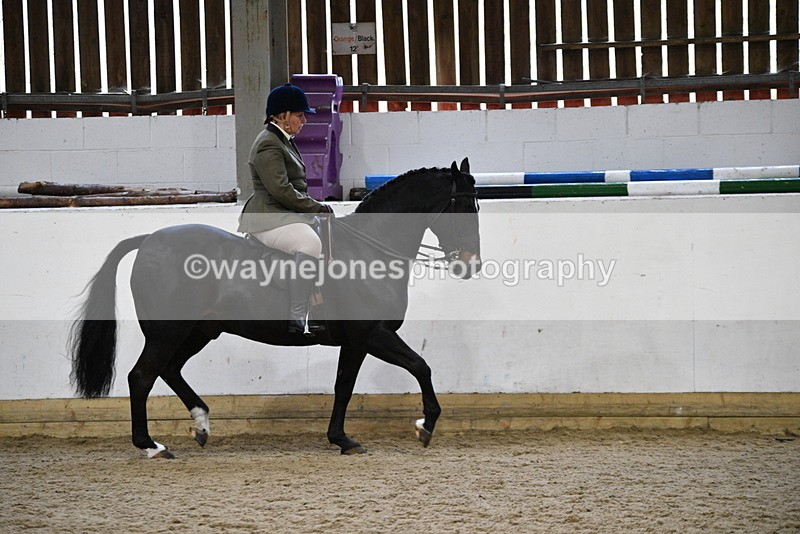 WJ5_7807 - Class 13 Ridden Part Breed