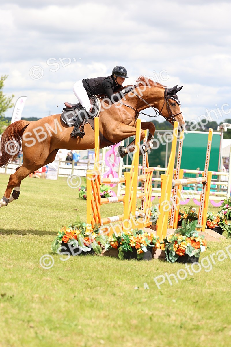 SBM_13851 - Class 206 - Senior Newcomers - 1.10m Open