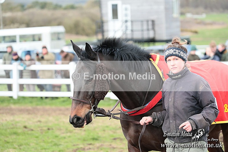 PtP 230324 747 - Tedworth Hunt PtP Larkhill Raccourse 23rd March 2024