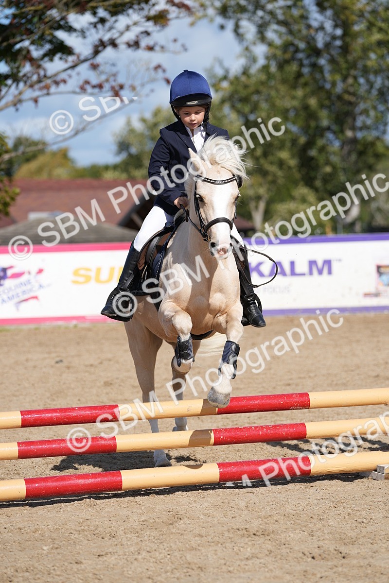 SBM_17959 - J58 - Clear Round 50cm