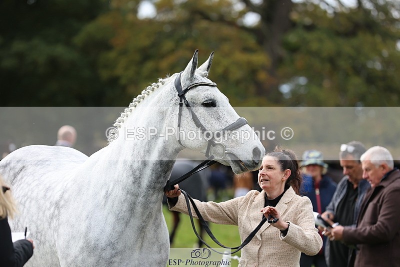 251026A-114521-25665 - F-429-Sarah.Clisby