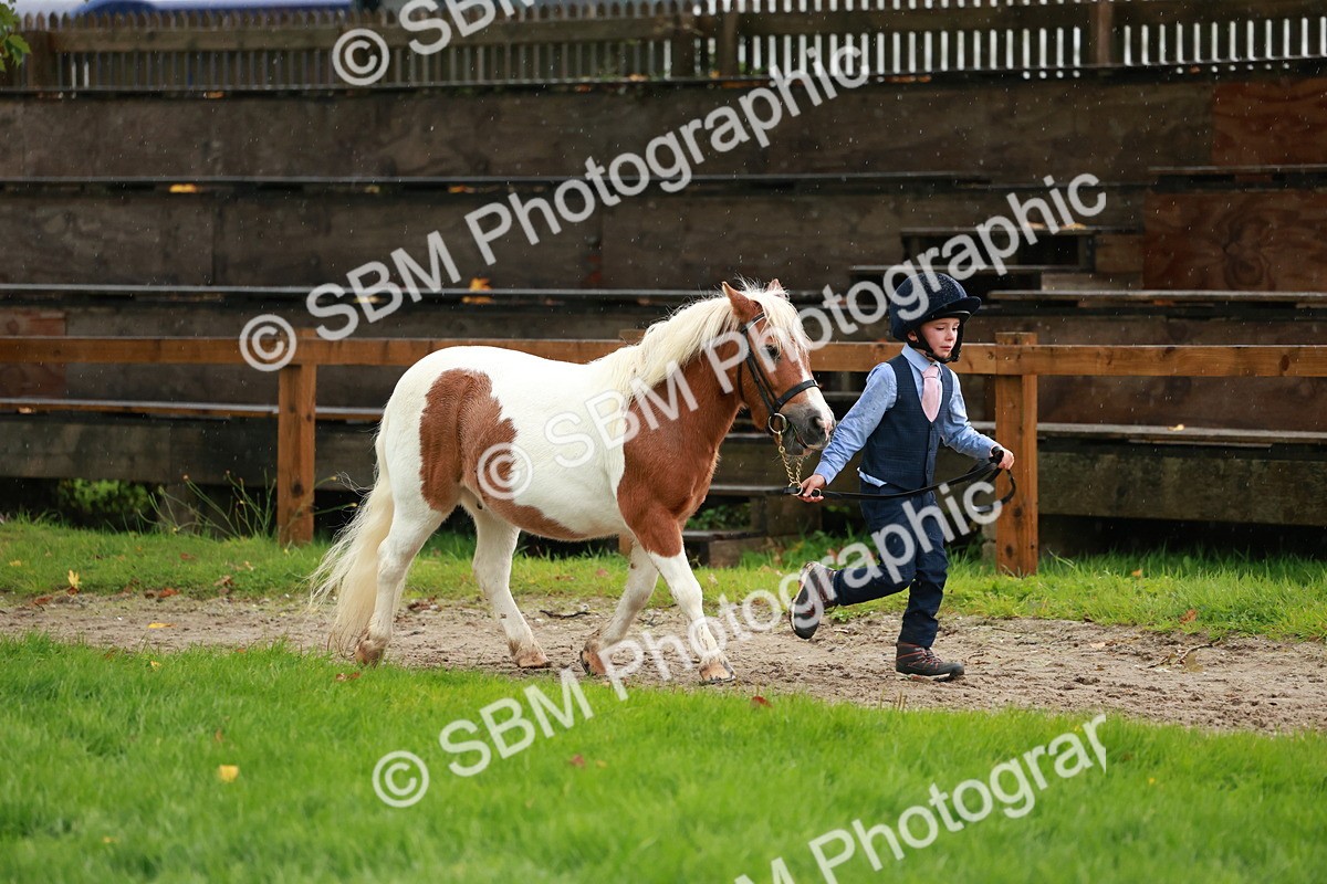 SBM_34866 - S10 - Best In Hand Horse & Pony