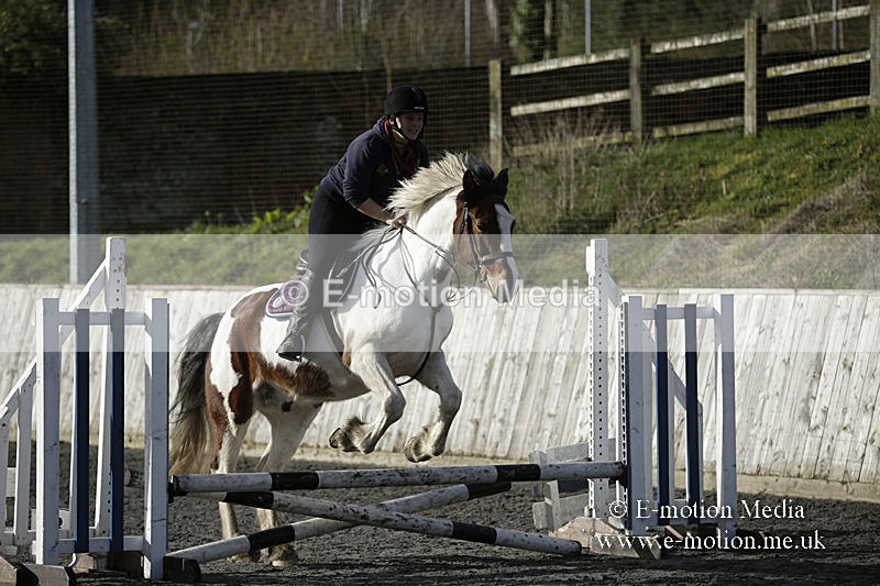 BVRC 050320 0025 - Bourne Valley riding Club Show Jumping Tidworth 08/03/20