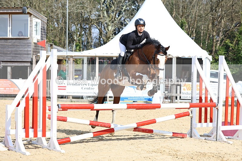 3E7A6534 - Class 4: Senior British Novice/90cm open