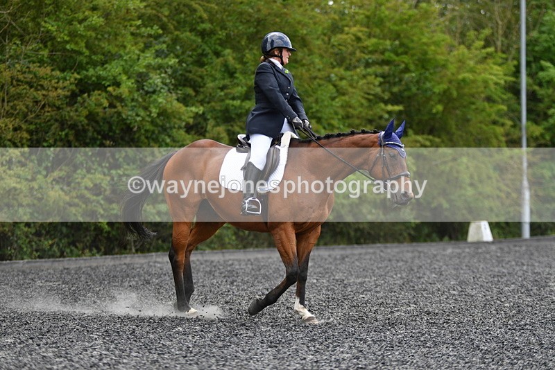 WJ5_0290 - Time 12:24 to 13:01