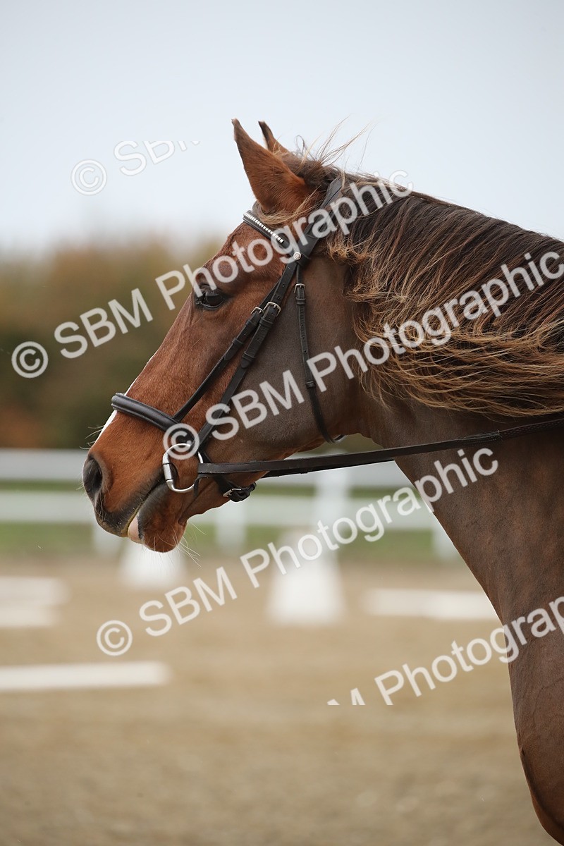 SBM_000484 - Intro 2