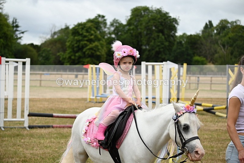 WJ6_4672 - Class 11 Fancy Dress