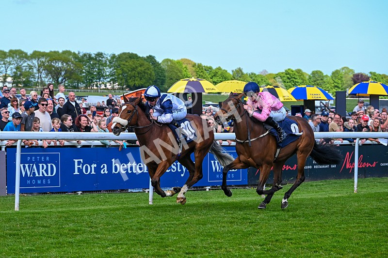 040526-Race 2-Moonlight Tango-1447 - Race 2
