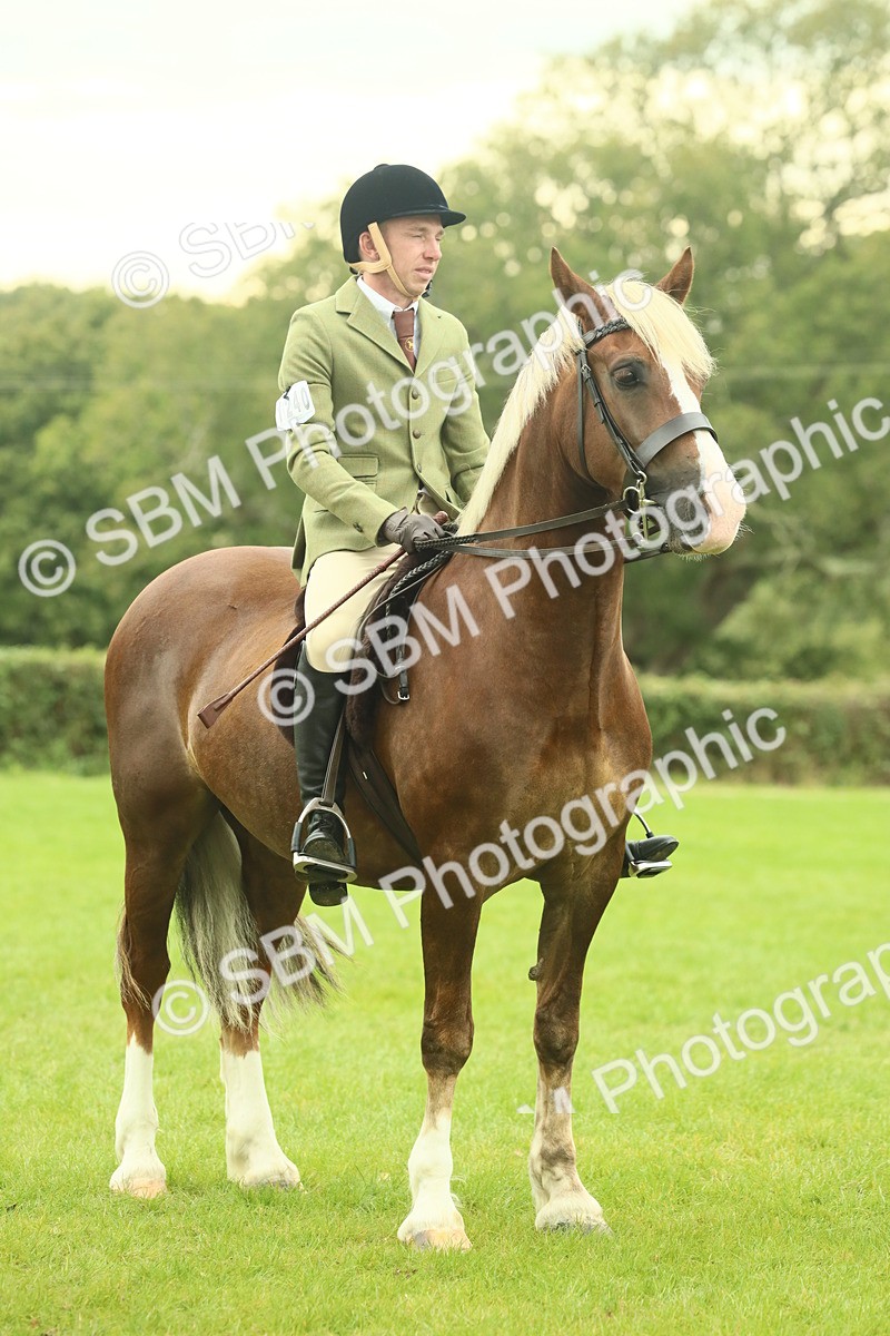 SBM_72223 - S60 - Mountain & Moorland Ridden Large Breeds