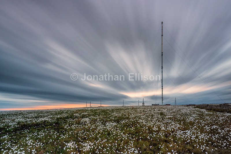 Winter Hill Cotton Grass - Rivington And Surrounding Areas