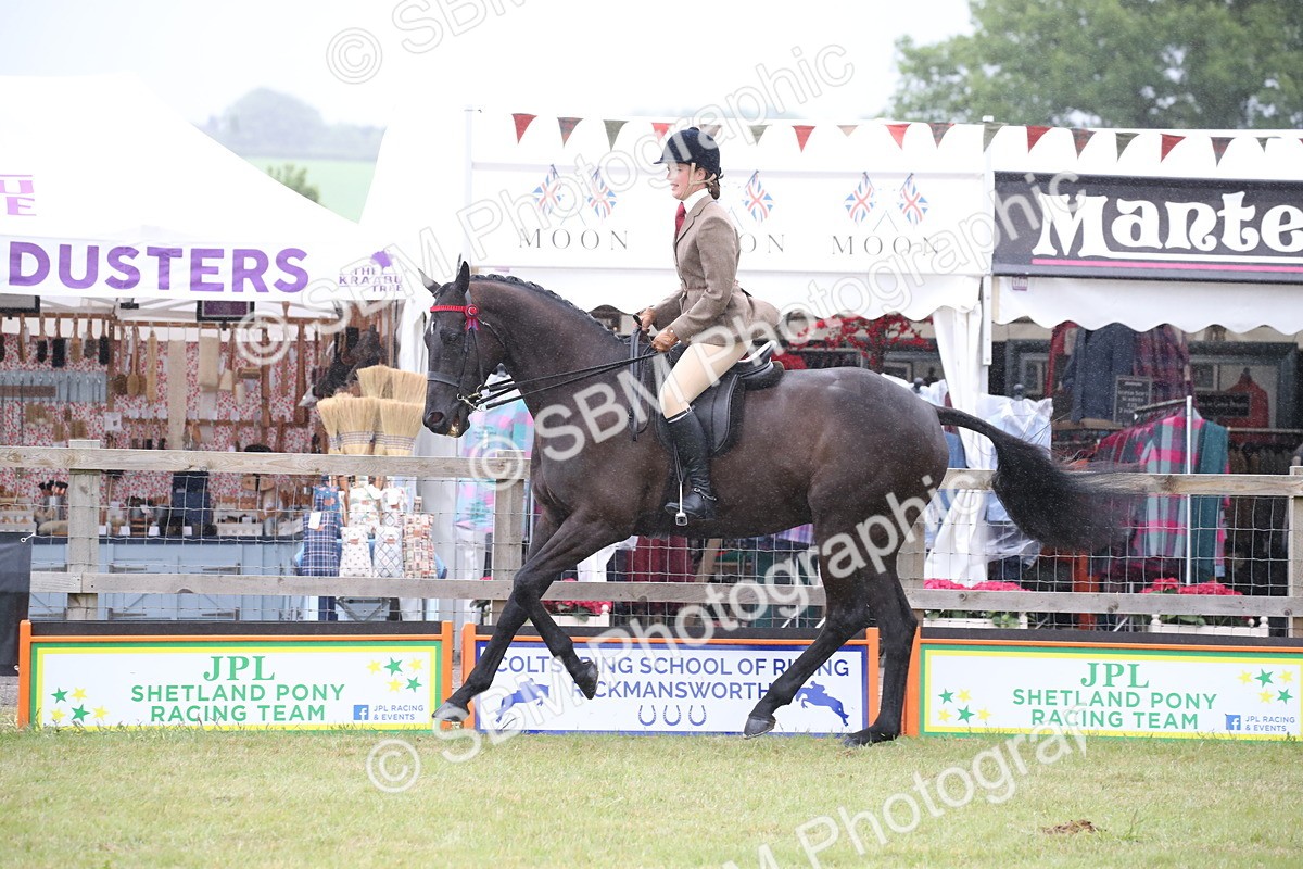 SBM_11447 - Class 94 - LIHS BSHA Racehorse to Showhorse
