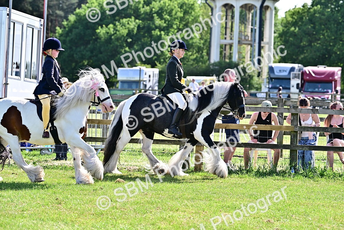 SBM_09459 - Class 63-65 - Traditional Gypsy Cobs In Hand & Ridden