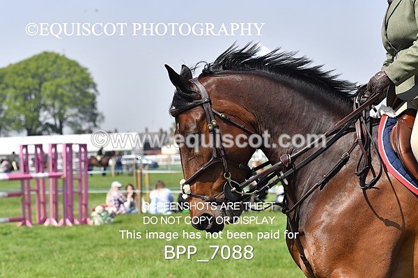 BPP_7088 - CLASS 4 B&C Champ Qual (1.25m - 1.30m)