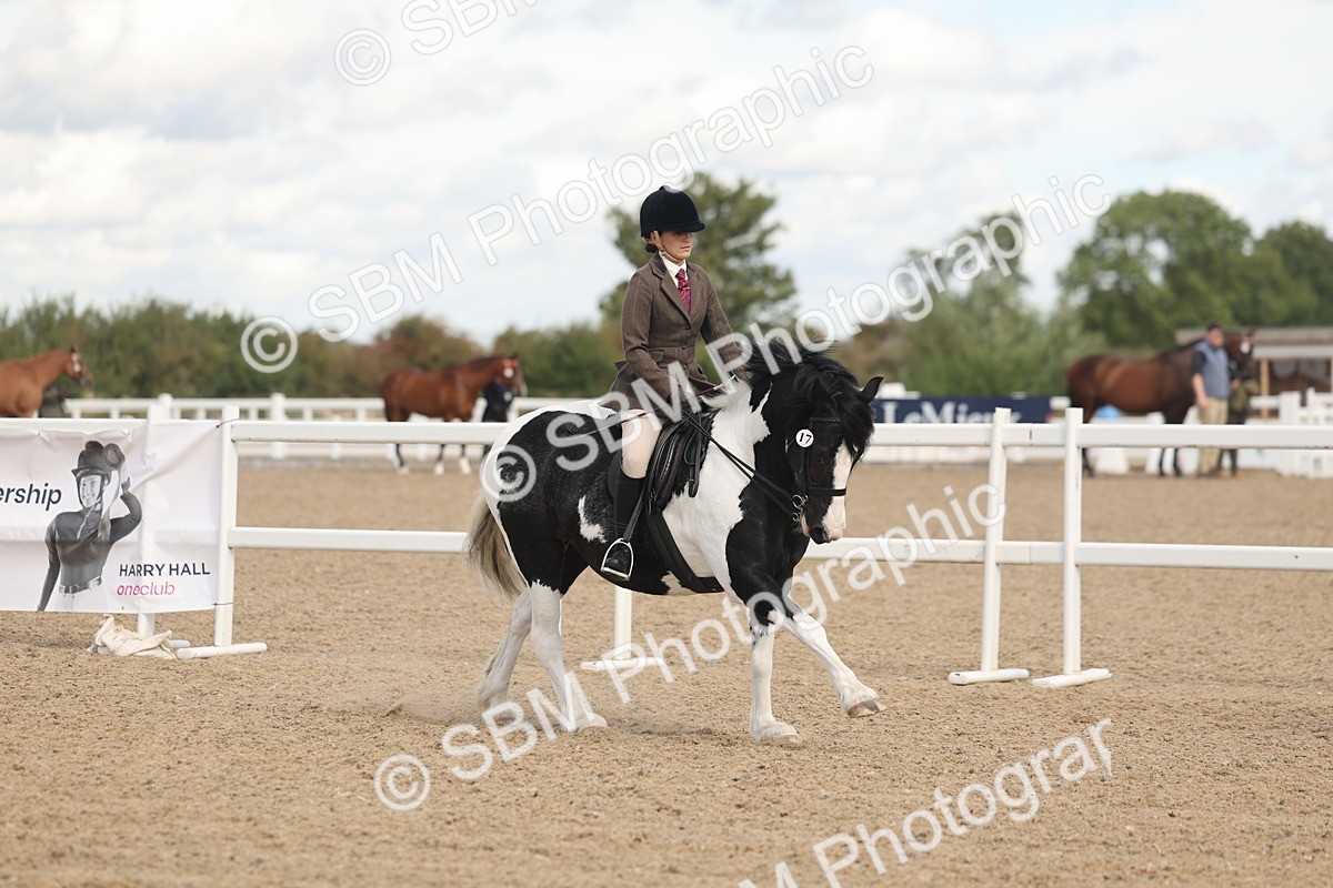 SBM_14646 - Class 307 - Ridden Coloured Pony
