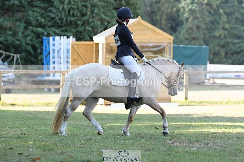 250823A-104308-27546 - Arena C