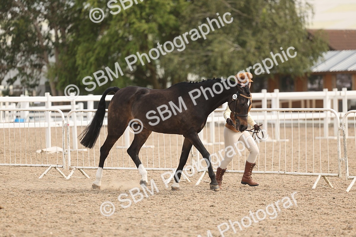 SBM_04979 - Class 20 - IH Veteran