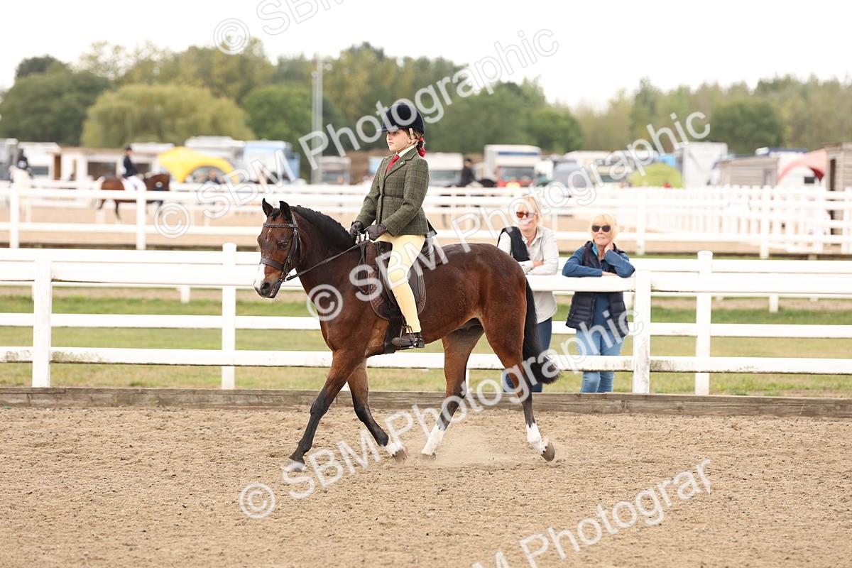 SBM_02895 - Class 53 - Ridden Competition Horse/Pony