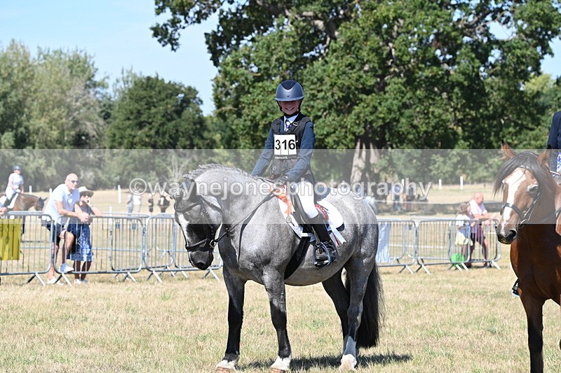 WJ6_8471 - Class 37a Best Loan Pony Ridden