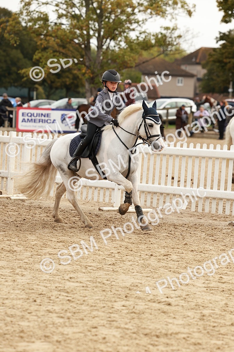 SBM_57755 - J11 - Junior Pony 50cm Championship