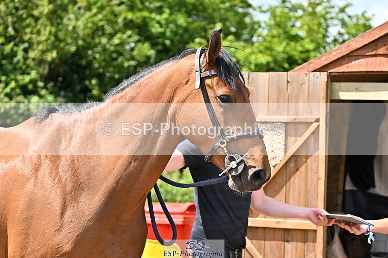 240718A-105244-01102 - Trot Up 12pm to 1pm