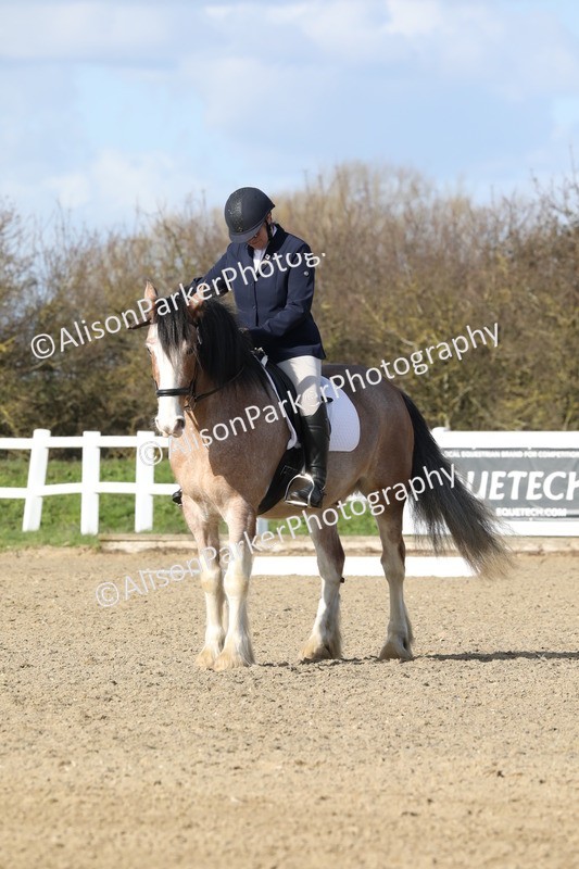 20260314-4987 - CT6 - Elementary 1