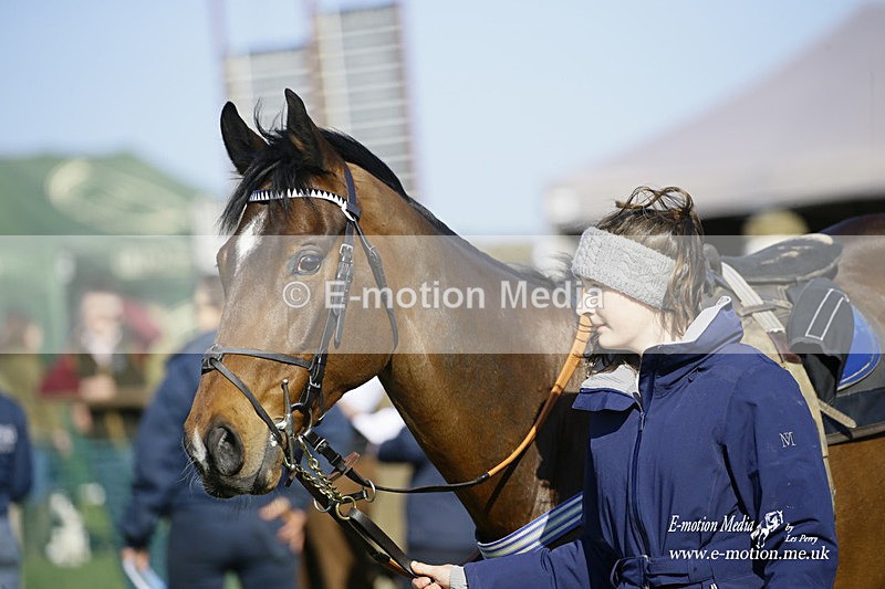 PtP 190322 646 - Wilton Hunt PtP Milborne St Andrew 19/03/22
