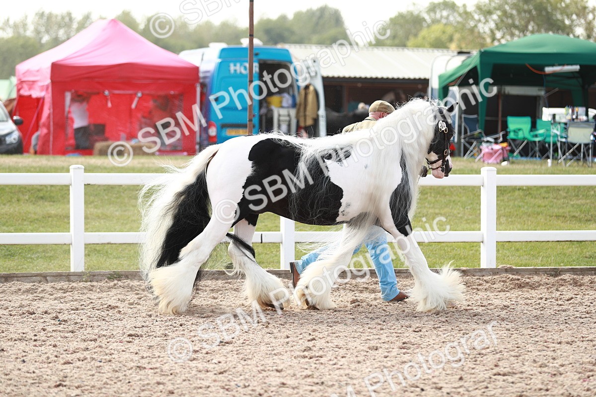 SBM_13884 - Class 209 IH Veteran Pony