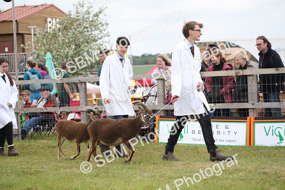 SBM_07790 - Grand Parade