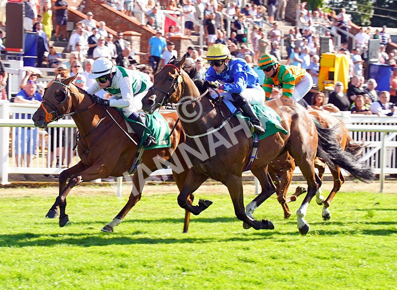 240726-Race 7-Sunlit Sea-01962 - Race 7 17.27pm Racing Excellence Apprentice Handicap