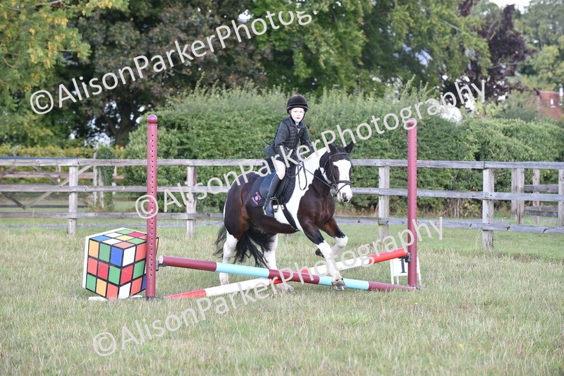 20250831-0443 - Class 7 - Absolute Novice 35cm