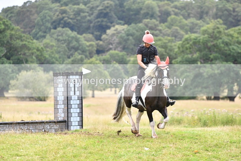 WJ5_2311 - Time at Jump 14:02 to 14:46