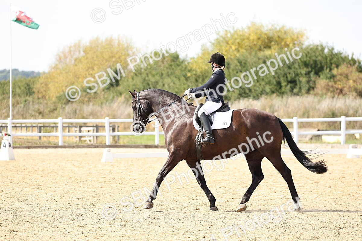 SBM_014863 - Class 7 - Medium 3