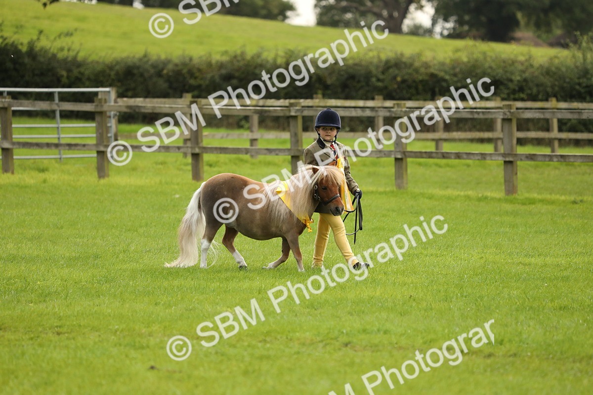 SBM_75438 - Equitation Supreme Championship