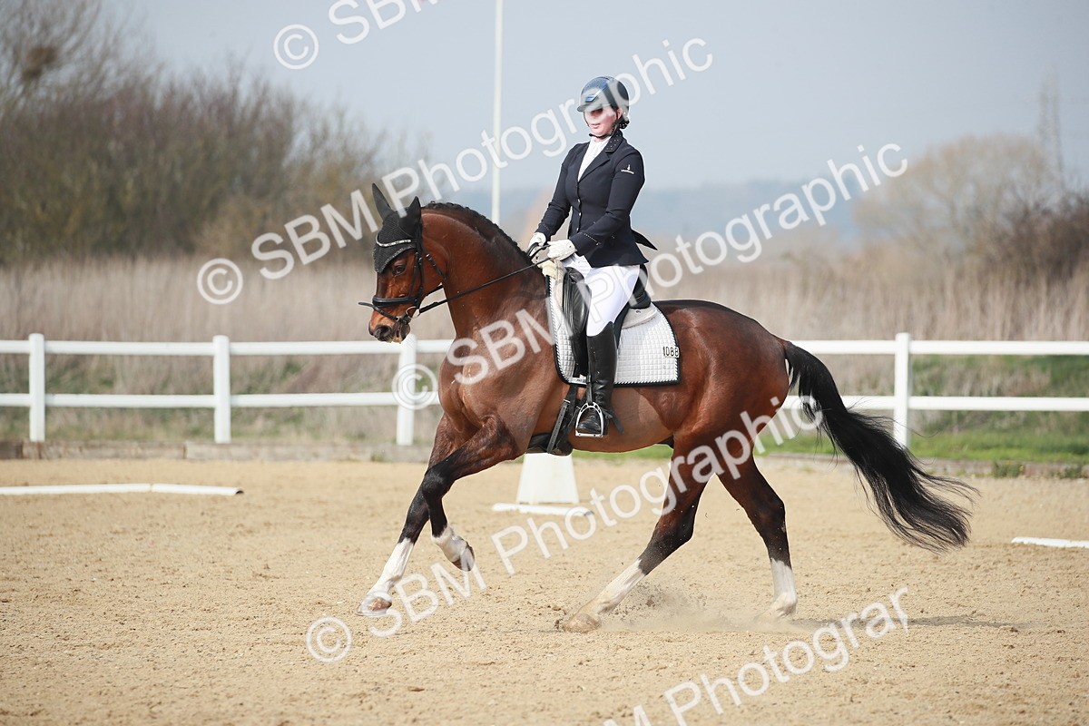 SBM_007295 - Class 16 - Novice 6