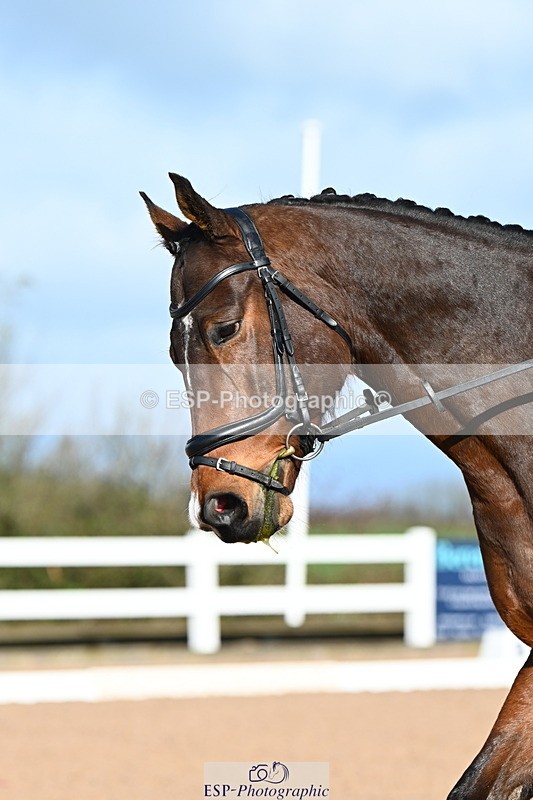 240323A-091744-00903 - MyQuest Intro A