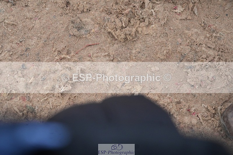 260315-132816-06264 - Cls 36 1.05m Amateur Quali