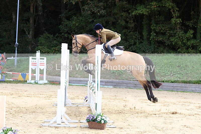 3E7A3400 - Class 4: Senior British Novice/90cm open