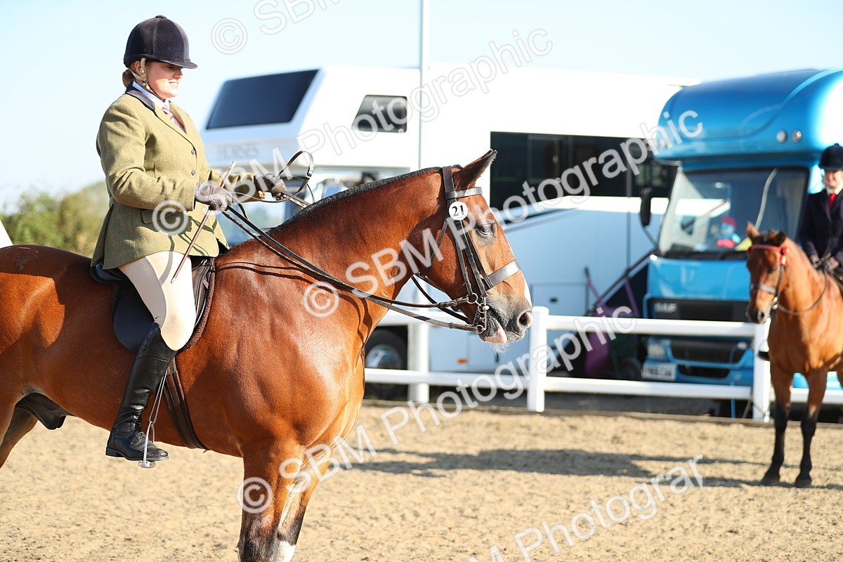 SBM_00428 - Class 41 Best Turned Out Ridden