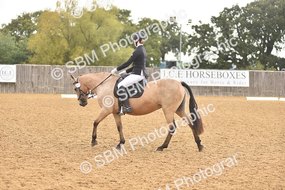 SBM_42375 - D22 - Junior Championship Intro 3