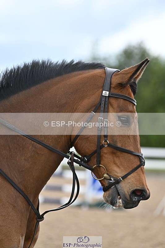 240514A-162837-00052 - 70cm