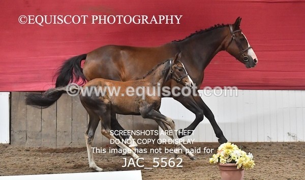 JAC_5562 - 13 Zi Real McCoy