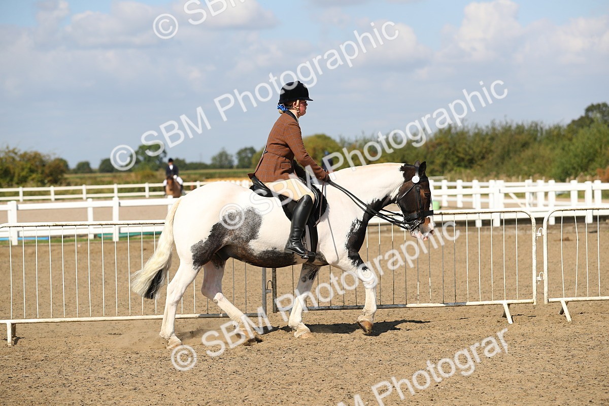 SBM_03121 - Class 44 Riding Club Horse/ Pony