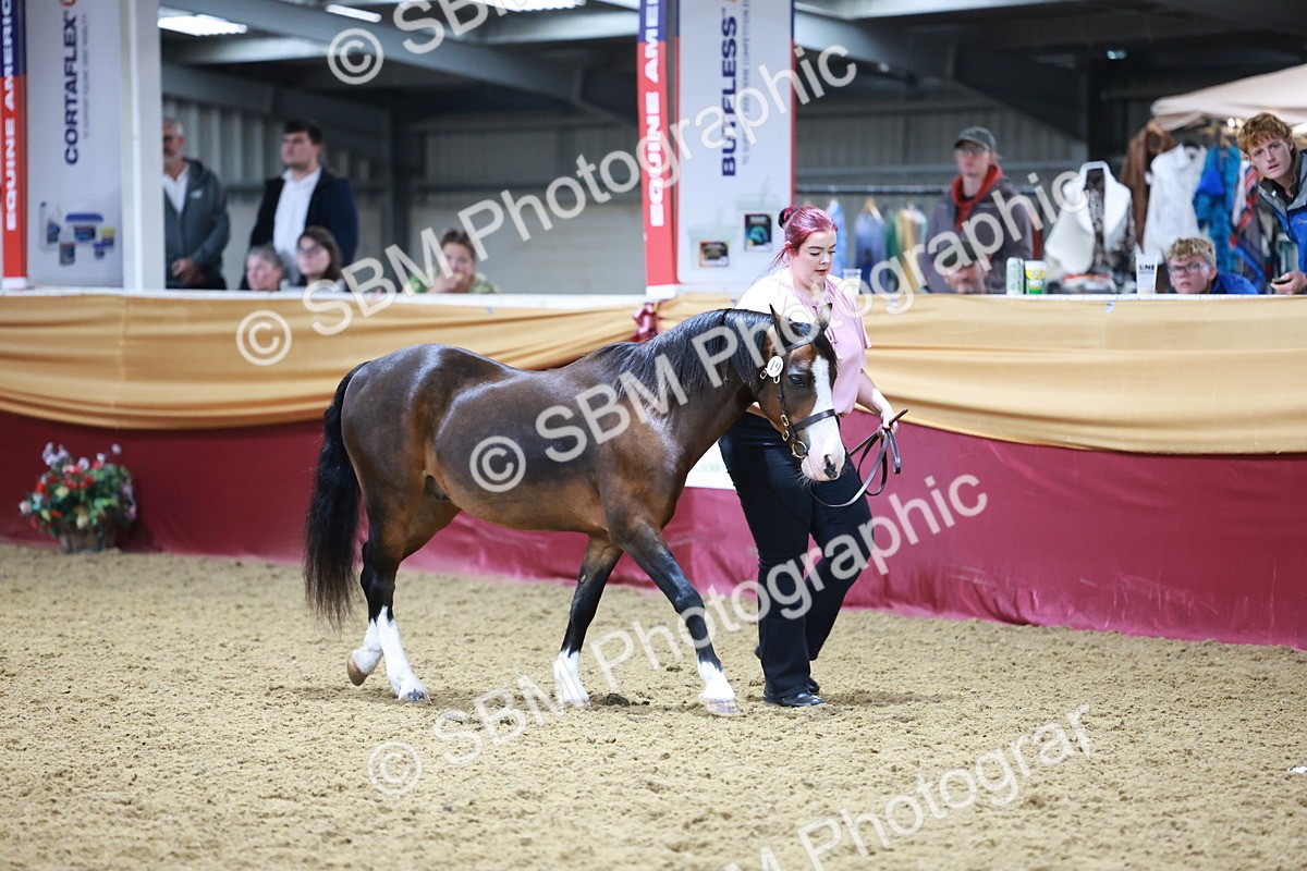 SBM_20092 - Class C - Novalty Champ