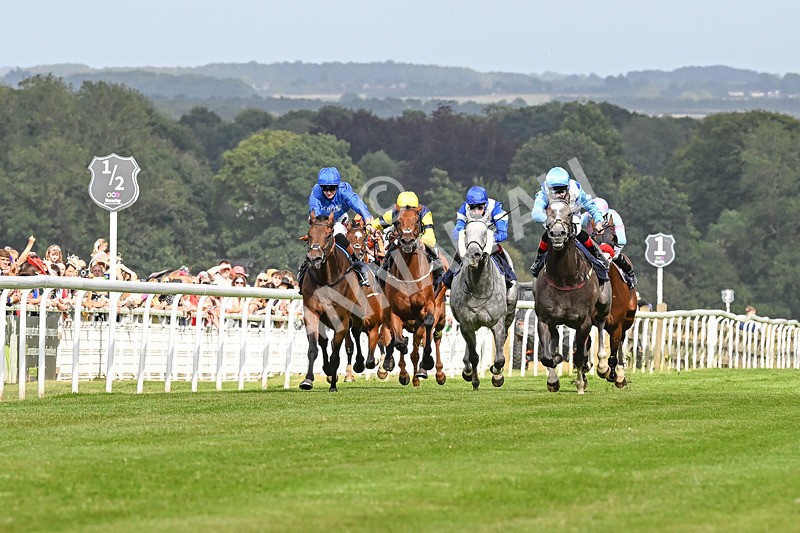 140824-Race 5-Havana Blue-3714 - Race 5